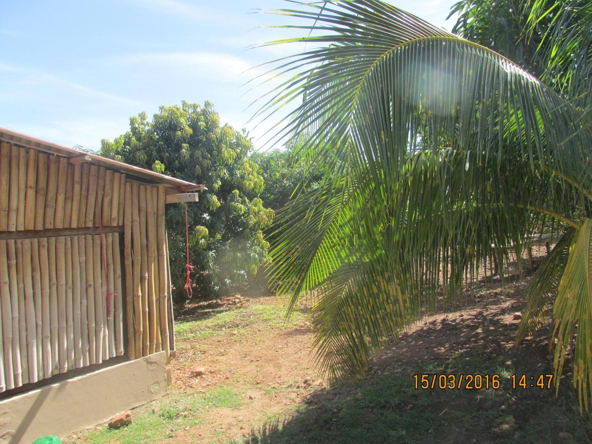 Jamaica Inn Guest House Botianaw Luaran gambar